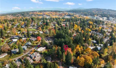 Drone with home area market, looking towards Eastgate and Factoria