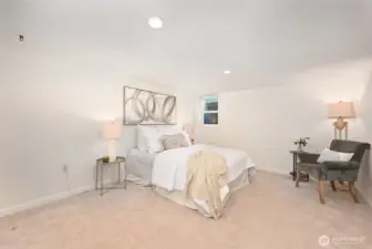 The lower level has a bedroom.