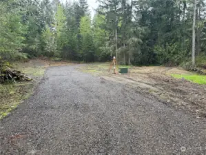 This lot has a cleared area that you can use for your home site, or you can push further back into the lot and be surrounded by trees. The timber here is marketable. To the left, some ready fire wood, in the middle, the new well, and to the right is the new electric service, ready to go.
