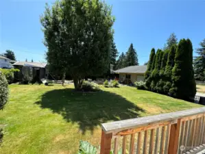 Gardens, chicken coop, greenhouse & shop in rear yard...