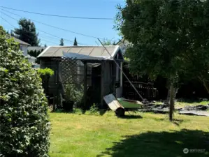 Old chicken coop and greenhouse...