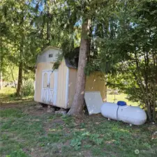 Shed in Back yard