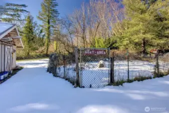 Fenced kennel