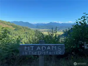 Take a hike up the road, take in the views, and see Mt. Adams.