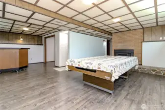Lower level rec room