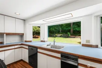 View from kitchen looking out to gorgeous private back yard.