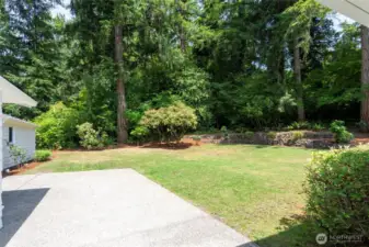 View of the Back yard from the right side of the property