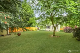 One of the biggest and most beautiful yards in the neighborhood.