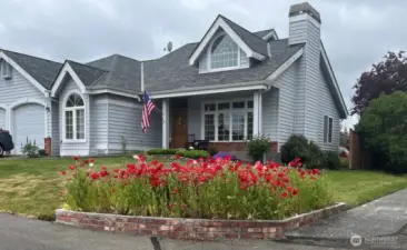 Home with beautiful poppies
