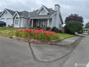 Home with beautiful poppies