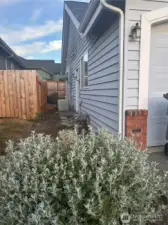 Side of home