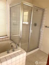 Tub and walk in shower