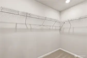 Huge closets with motion sensor lighting.