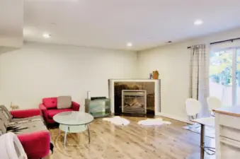 Lower level living room with kitchennet.