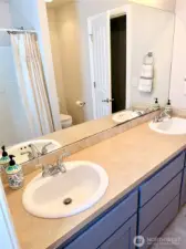 Full bathroom lower level.