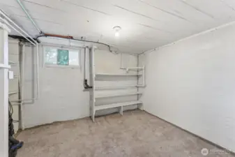 Bonus room in basement