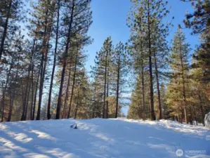 Looking due West from this large 1 Acre lot and home.