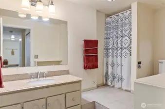 Lower level bath. Tile flooring. Forced heat. large sink vanity.