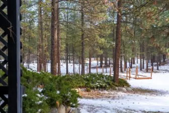 1 Acre lot is mostly level and borders large greenbelt. Tall pines are beautiful and keep you cool in Summer. Fenced Garden area.