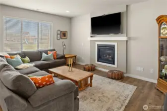 Modern Living space + Linear fireplace