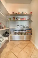 Walk-in pantry with lots of storage!