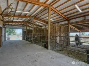 Interior Barn with Concrete Isleway