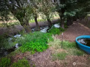 Stream