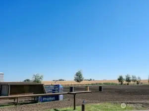 Arena