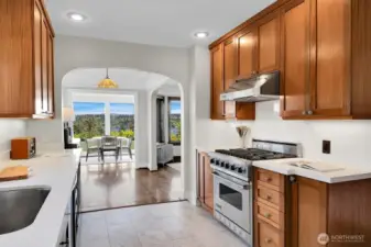 Viking, Sub Zero and Bosch appliances.