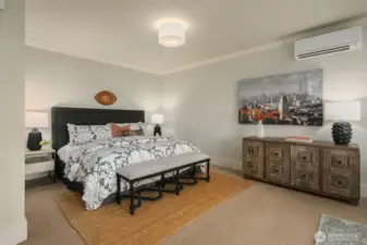 Gorgeous primary suite with mini-split