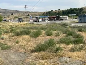 Looking across property towards Chevron Quick E Mart, SR17