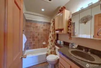 Full bath in unit 204, w/beautiful wash basin