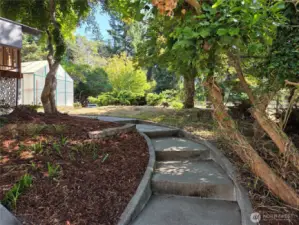 Steps from back yard to green house