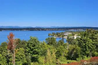 View from deck