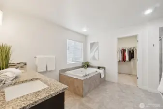 Primary Ensuite Bathroom with Walk-In Closet
