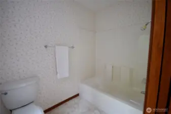 guest bath 1 shower