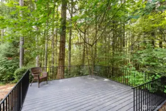 Entertainment deck