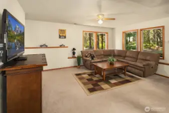 Lower level living room area open to dining and kitchen space