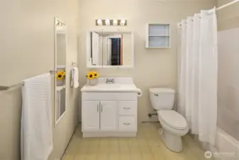 Lower level full bath