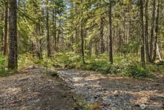 Silver Creek (no water at this time due to our light snow and dry summer. Just imagine it when the water is running through...so beautiful!