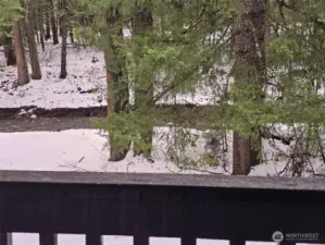 Silver Creek runs right out the back yard, view of creek is off the deck from the living room/kitchen.