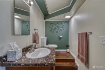 Unique and one of a kind, step up, half bath on the lower level. You don't see this everyday.