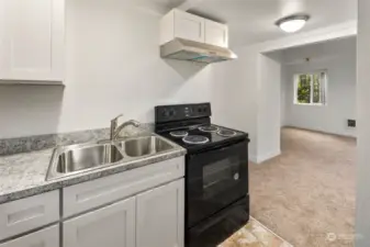 Newly remodeled kitchen