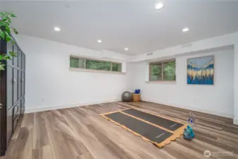 downstair unit large bonus room, perfect for a large home office or start up hub