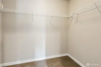 Walk in Closet in Master