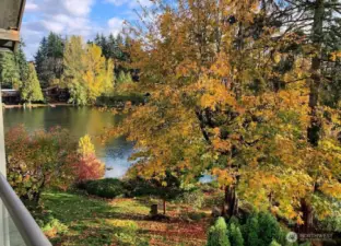 Photo from the unit looking out towards the lake in the fall months.