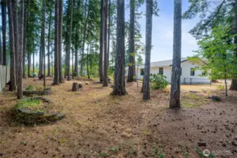 Sellers have enjoyed the peace and quiet and these trees.