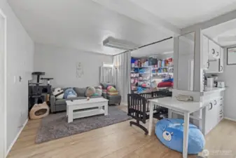 ADU living area