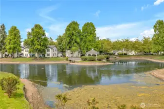 View of Lake