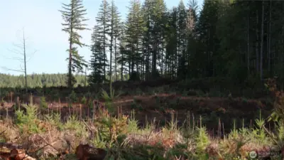 Manke timber back up to this property for more privacy.